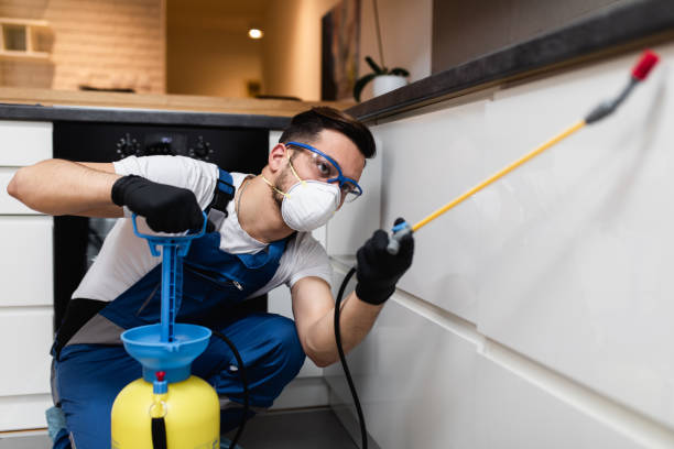 Professional Pest Control in Grayson, CA