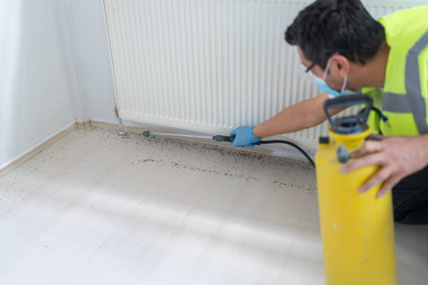 Best Affordable Pest Control Services  in Grayson, CA
